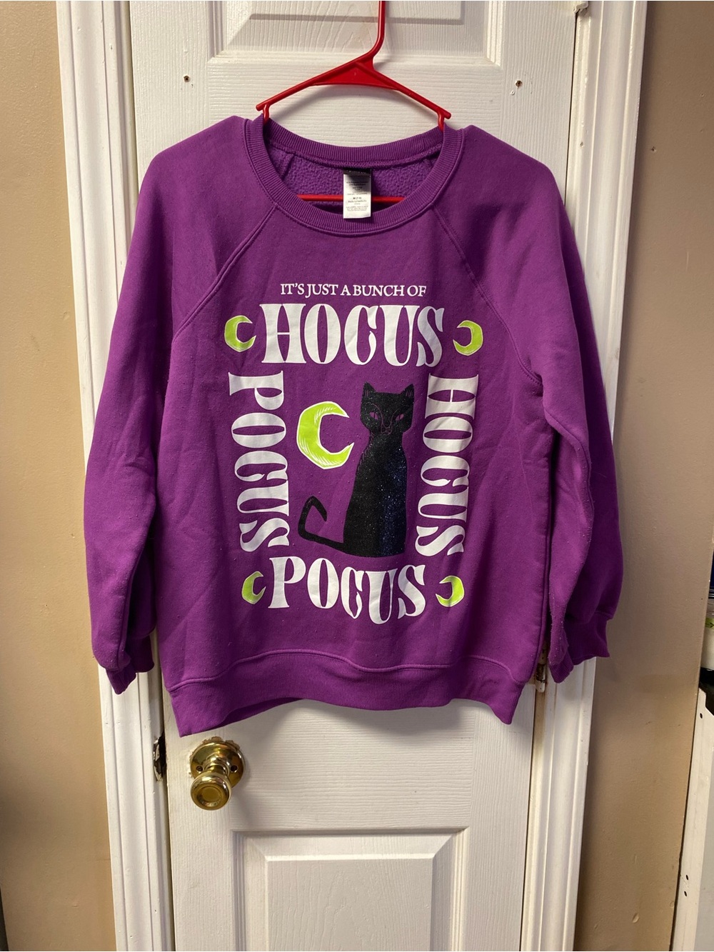 Disney Purple Hocus Pocus Cat Graphic Sweatshirt with Lime Accents